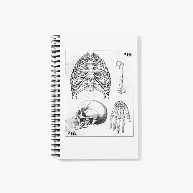 Anatomy vintage card Xiii